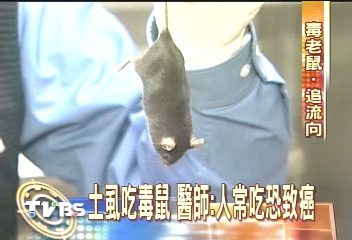 〈獨家〉土虱吃毒鼠 醫師:人常吃恐致癌