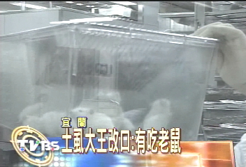 土虱王改口 鼠屍當飼料 檢方突檢