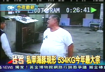 私宰海豚肉現形！　534KG今年最大宗