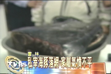 私宰海豚落網　家屬氣憤不平