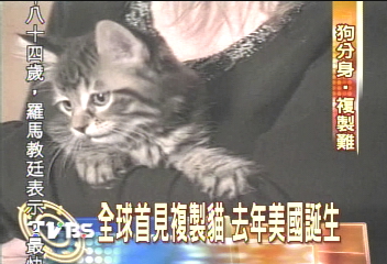 複製一個「牠」 黑人願意花上百萬