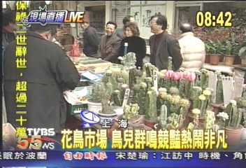 【活力城市】繁華上海灘 花鳥市場享受自然洗禮