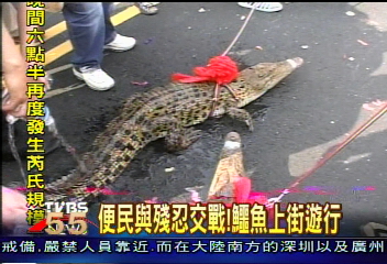便民與殘忍交戰！　鱷魚上街遊行