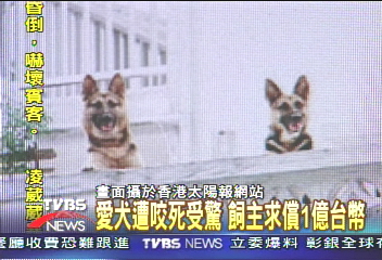 愛犬遭咬死受驚 飼主求償1億台幣