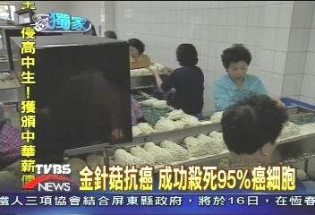 〈獨家〉金針菇抗癌　成功殺死95%癌細胞