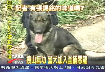 搜山無功 警犬加入圍捕張錫銘