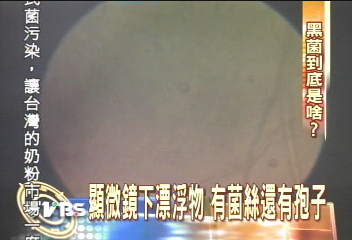 黃金水黑色漂浮物 專家:是黴菌