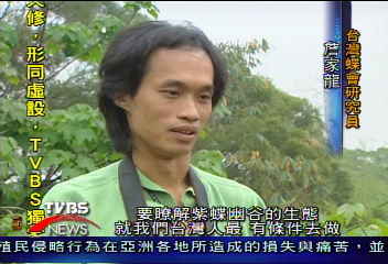 初春北返 目擊百萬紫斑蝶大遷移