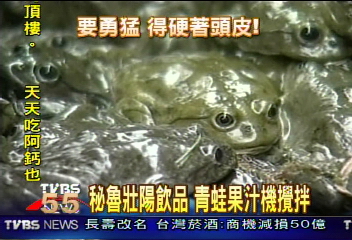 秘魯壯陽飲品　青蛙果汁機攪拌