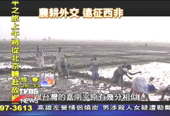 【台灣腳走世界】農耕外交　遠征西非友邦