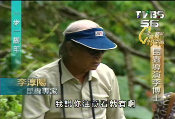 【一步一腳印】紀錄昆蟲四十載　李淳陽執著拍攝