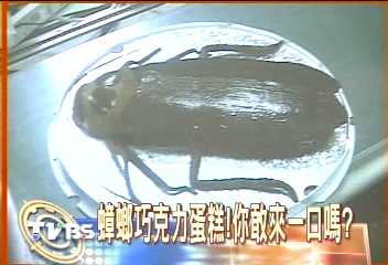 蟑螂巧克力蛋糕！　挑戰「噁心」官能