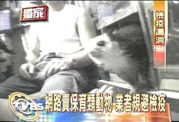〈獨家〉業者鑽漏洞 保育類動物網上賣