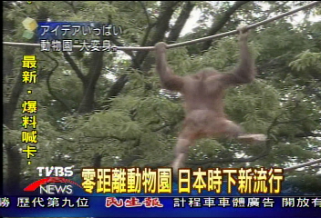 零距離動物園　日本時下新流行