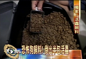 〈獨家〉恐怖狗飼料！倒出半包活蟲