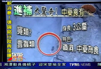 中藥包爬滿蟲！　民眾自拍控「黑心」