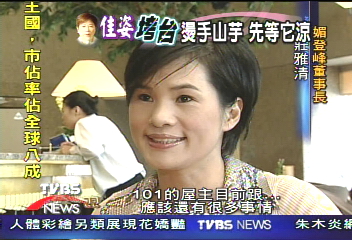 財務不透明 佳姿找不到金主