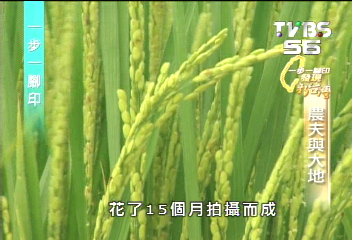 【一步一腳印】「無米樂」紀錄片 用汗水灌溉大地