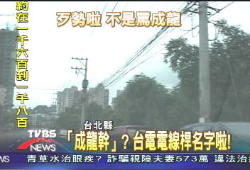 「成龍幹」？　台電電線桿名字啦！