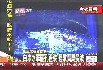 白冰冰華麗孔雀裝 輕歌寶島曼波