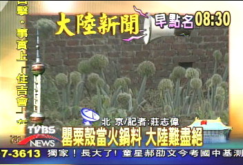 【大陸新聞早點名】罌粟殼當火鍋料　大陸難盡絕