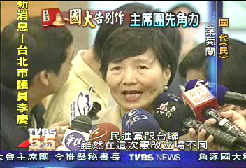台聯挺民進黨 葉俊榮任國大秘書長