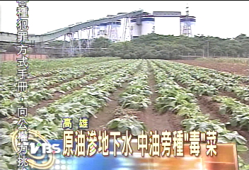 原油滲地下水　中油旁種「毒」菜