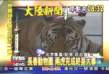 【大陸新聞早點名】六一兒童節 上海動物園也慶祝