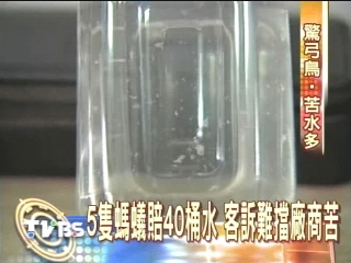 5隻螞蟻賠40桶水 客訴難擋廠商苦