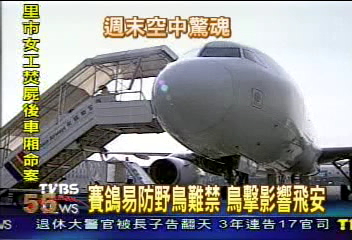 客機降落 遭野鳥撞擊 虛驚一場