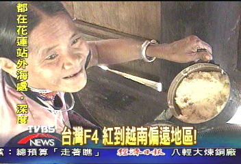 〈獨家〉越南高腳屋 上層住人下層養豬