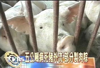 「上好」百年粽店死豬肉包粽 恐流向全國
