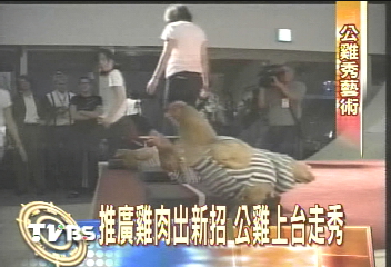 日本愛知世博會 請公雞來走秀