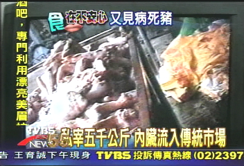 突擊！潮濕昏暗　私宰豬場衛生差