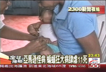亞瑪遜怪病　蝙蝠狂犬病肆虐11死