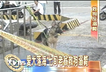 愛犬落海 七旬老翁救狗溺斃