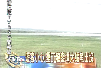 遊客小心!墾丁龍鑾潭 大鱷魚出沒