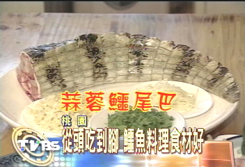 鱷魚大餐 夏日溫補養顏美容
