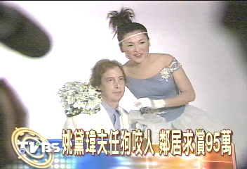 姚黛瑋夫任狗咬人 鄰居求償95萬