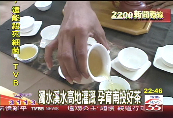 濁水溪水高地灌溉　孕育南投好茶