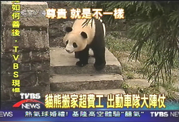 好熱!貓熊福福林陽 送上山避暑