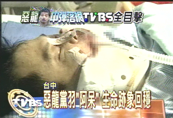 惡龍黨羽「阿呆」　生命跡象回穩
