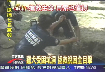 獵犬受困坑洞　拯救脫困全目擊