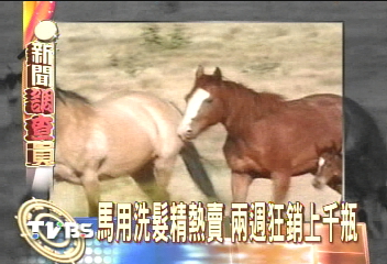 馬用洗髮精熱賣　2週狂銷上千瓶