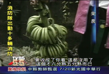 沒泡湯卻烤乾了！彰化焚風葡萄慘