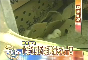 乾脆吃了!草埔受困攤商貢獻貨品