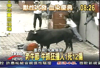 墨國奔牛節　牛抓狂撞人1死12傷