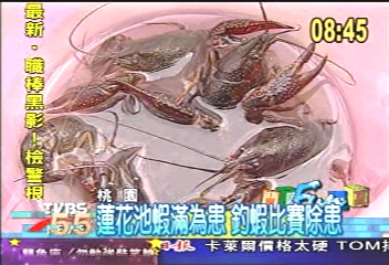 蓮花池蝦滿為患 釣蝦比賽除患