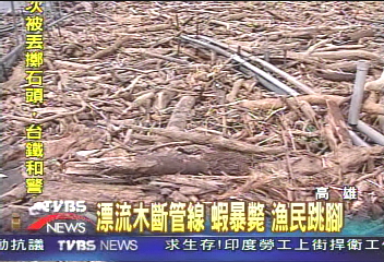 漂流木斷管線 蝦暴斃 漁民跳腳