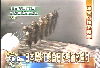 日本爆熱! 鰻魚日吃鰻補充體力